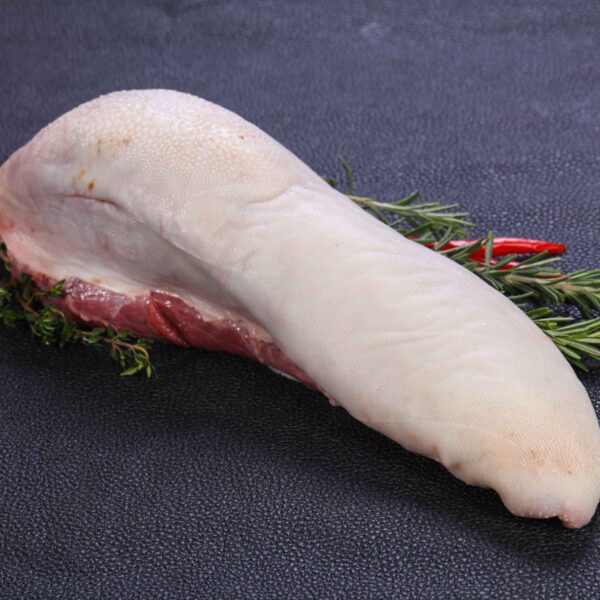 Lengua