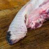 Lengua