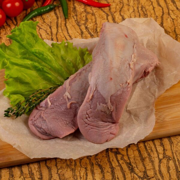 Lengua