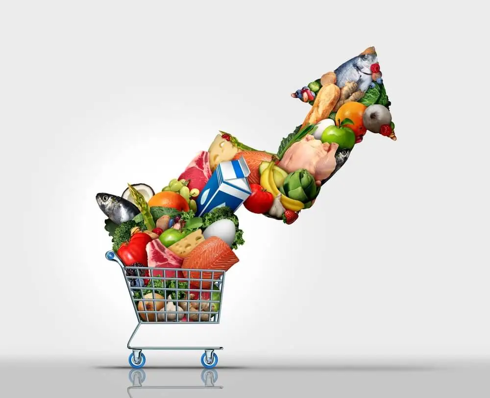 Comercialización de alimentos a nivel mundial