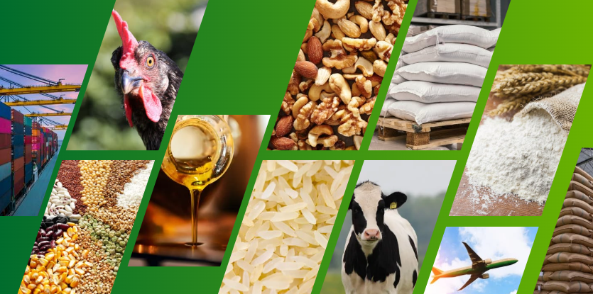 Importación de Alimentos para Retailers en 2025